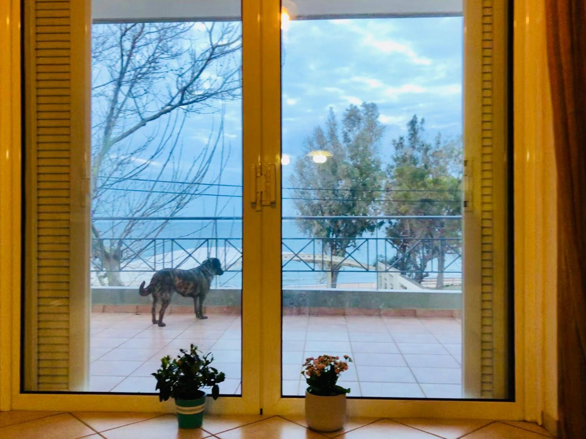 Chloe'S Sunrise Beach House Vila Atenas Exterior foto